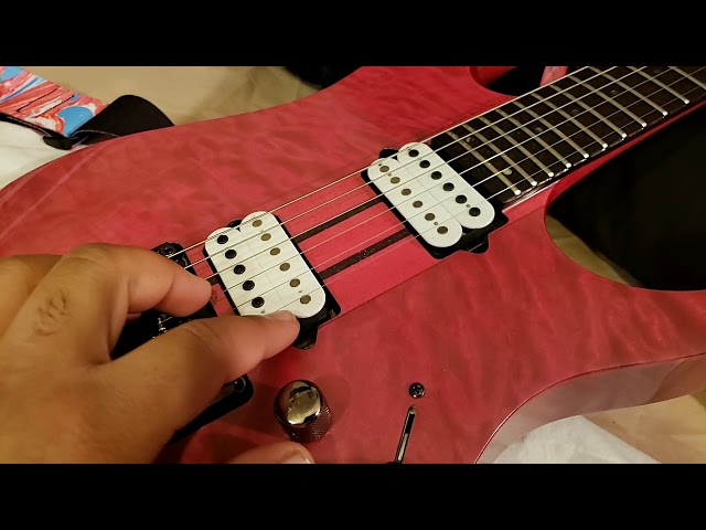 Ibanez RGT320 プレステージ　激レア！フジゲン製！ Ibanez RGT320 プレステージ 激レア！フジゲン製！ 楽器・機材