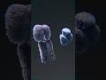 XY Chromosomes Made With Blender3d Anatomy Study Humanity Micro 3danimation XY Chromosomes Made With Blender3d Anatomy Study Humanity Micro 3danimation