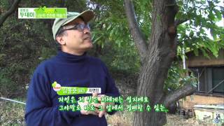 [생방송투데이] 131106 다시보기 #4(4)