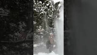 𝙎𝙣𝙤𝙬𝙮 𝙘𝙖𝙩~❄️ { #therian #fyp #quadrobics #snow}
