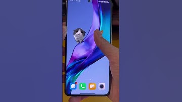 MIUI 14 interactive pet widget #shorts