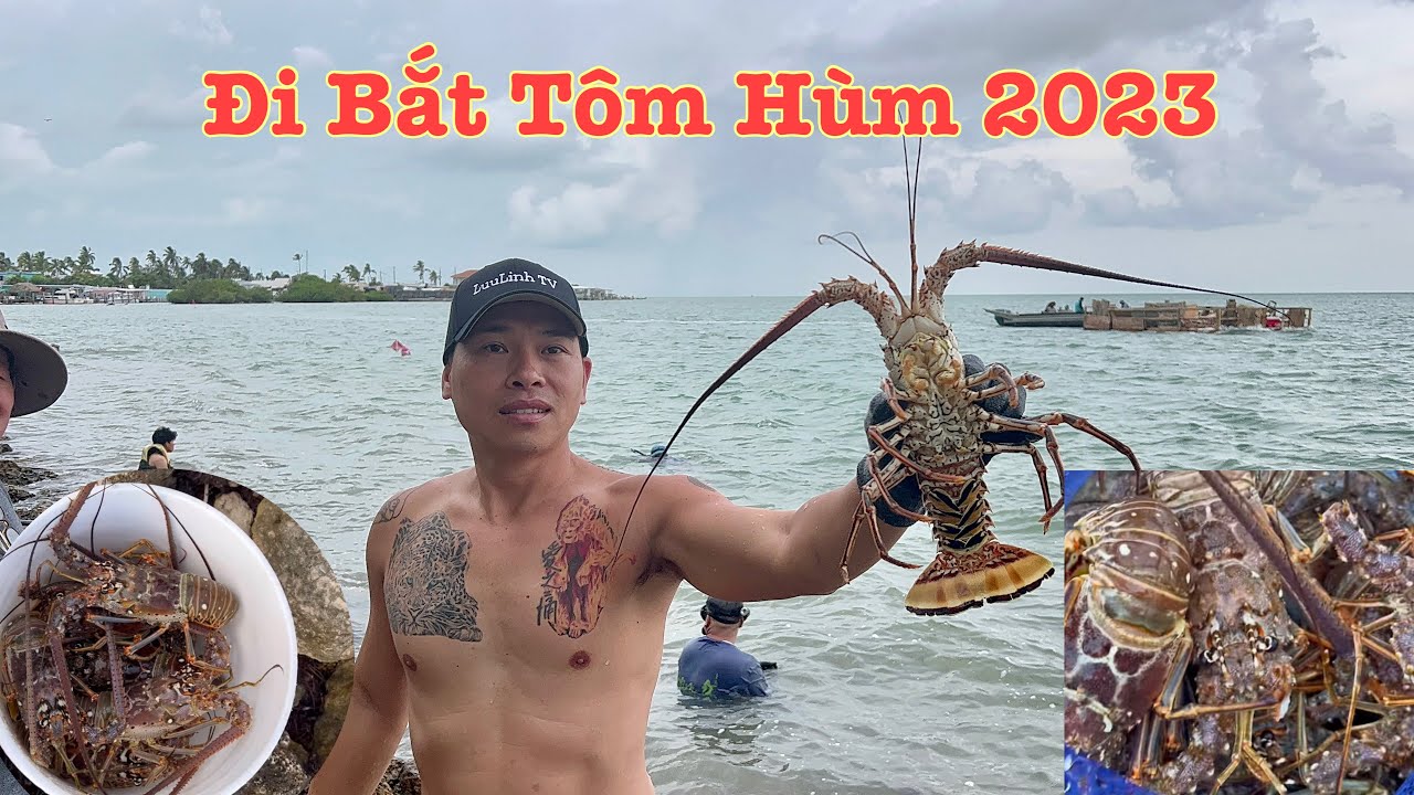 Đi Bắt TÔM HÙM Florida 2023 Florida Lobster MiniSeason 2023