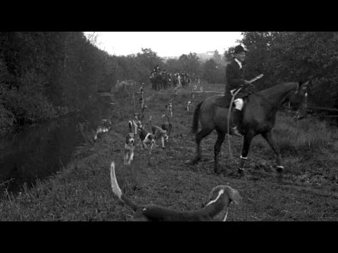 200 Packs of Fox Hounds Begin Season's Sport (1921)