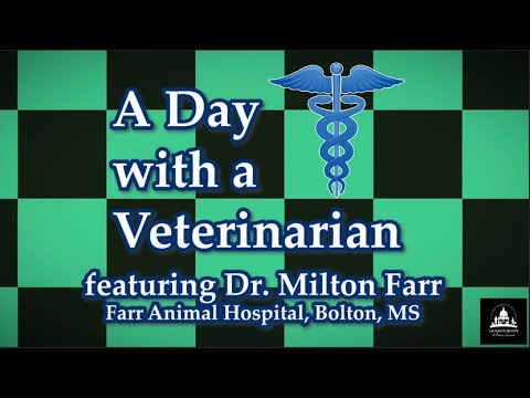 A Day with the Veterinarian Virtual Program (Summer Reading) by Annie T. Jeffers Library of Bolton