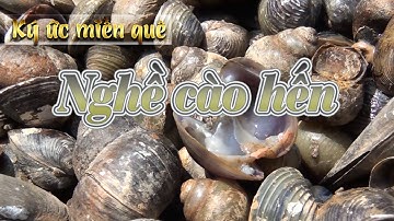 Ký ức miền quê | Nghề cào hến | THKG