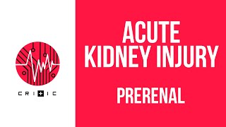 Prerenal causes of kidney failure - the Acute Kidney Injury series