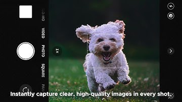 V40 | 108MP AI Main Camera & Morpho Imaging: Unrivaled Photography