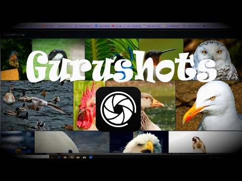 Video: ¿Gurushots es dueño de tus fotos?