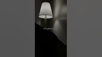 كانوا قليلاً من اللَّيل ما يهْجعون _ آيات من سورة الذاريات _ القارئ شريف مصطفى