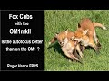 Fox Cubs with the OM1mkII -  Is the autofocus better than on the OM1 ?