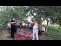 Aşıq Umbay Axundov və Aşıq Pərviz Axundov - Kürd dilində saz ifası