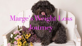 Marge's Weight Loss Journey