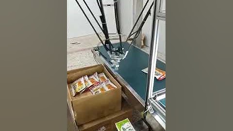 Flexible spider type bag pouch cartoning machine encasing line by robot hand