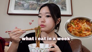 *intuitive + realistic* what i eat in a week + korean family vlog