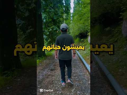 في ناس يعيشون حياتهم بالعكس    اكسبلور معلومات  السعودية