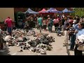 LIVE | Venezuelans Flood Aid Centers After Deadly Earthquakes Kill 900+ | APT