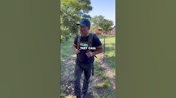 Ever Tried Shinrin-Yoku? The Japanese Call It “Forest Bathing” — More Than Just A Walk In The Woods