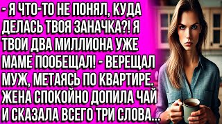 видео: Я что-то не понял, куда делась твоя заначка?! Я твои два миллиона уже маме пообещал! - верещал муж.. картинка: Я что-то не понял, куда делась твоя заначка?! Я твои два миллиона уже маме пообещал! - верещал муж..