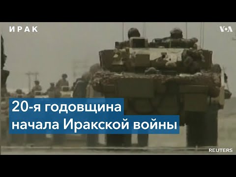 Видео: Вашият бръмбар е песимист? Учените казват, че отговорът може да бъде 