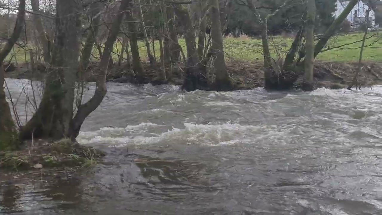 Durch die Nister fließt viel Wasser 