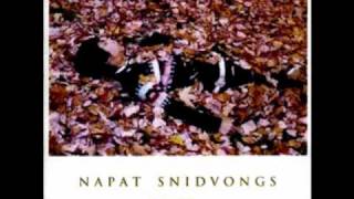 Napat Snidvongs - Fruits chords