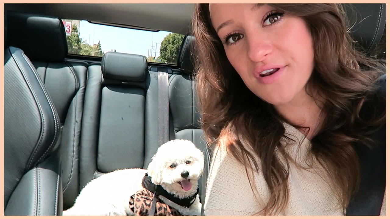 FOOD POISONING?!! - YouTube