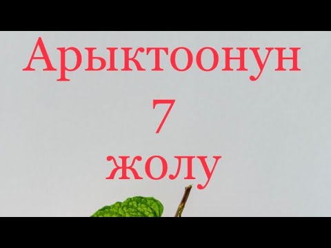 Video: Арыктоонун эң мыкты 5 симулятору