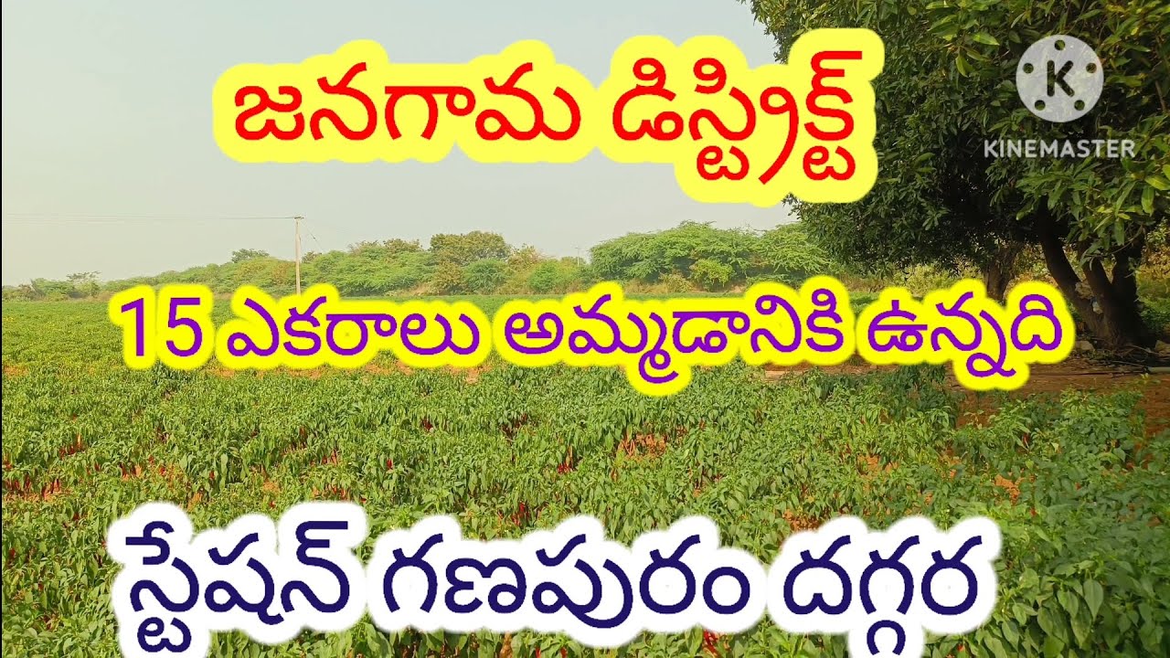 15 ఎకరాలు అమ్మడానికి ఉన్నది 9550145159