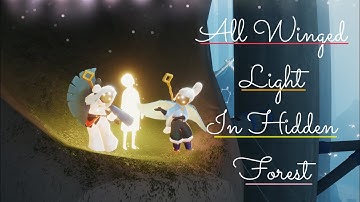 All WINGED LIGHT in HIDDEN FOREST| SkyKitty