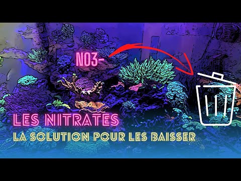 Vidéo: Comment Réduire Les Nitrates