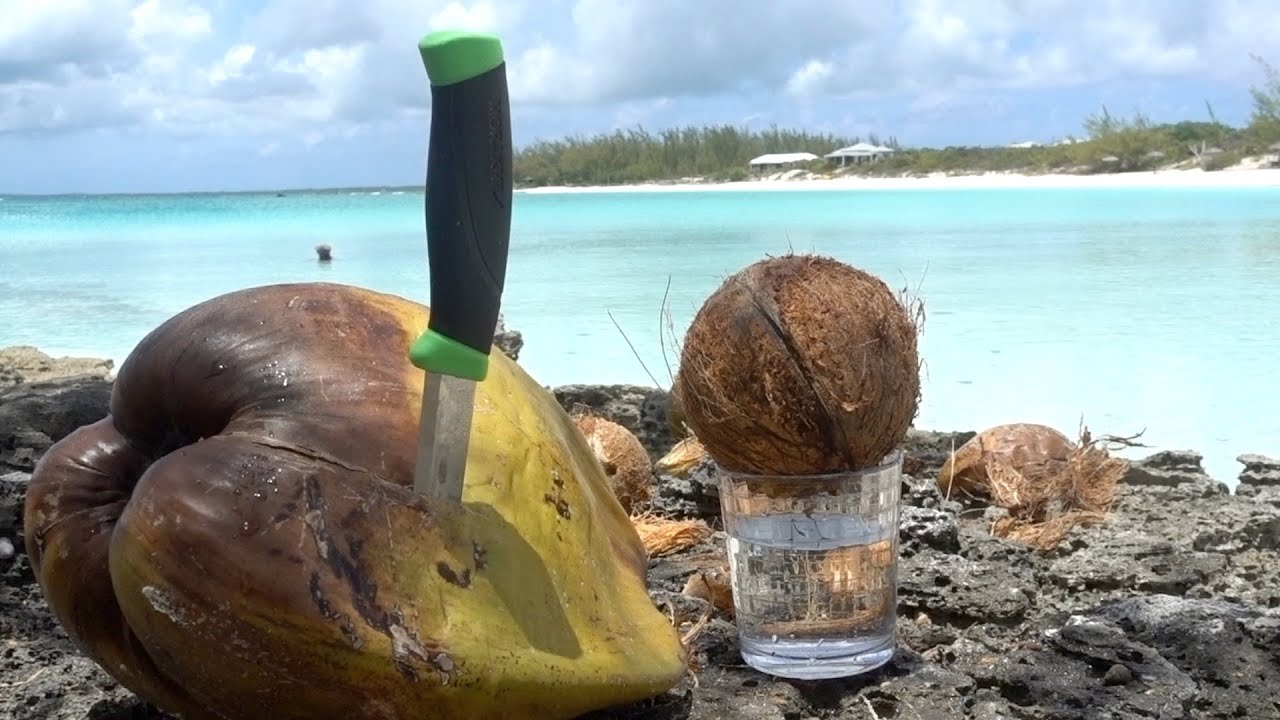 Как выбрать,открыть и почистить кокосовый орех