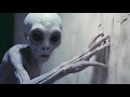 El Perturbador Origen de Los Grises ''Extraterrestres Hibridos''