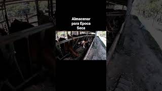 Almacenar para Epoca de Escasez