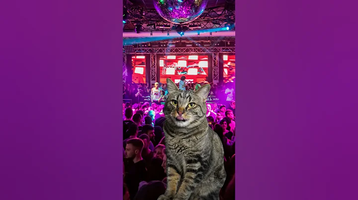 When an INTROVERT finally goes out 😳 #shorts