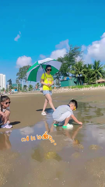 Cảnh này thật bất ngờ #klipsnano #xuhuongtiktok #beach #thuha #funny