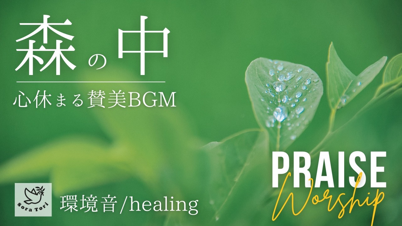 【癒しのBGM】自然の中で聴く賛美　環境音 / Healing　～鳥のさえずり～