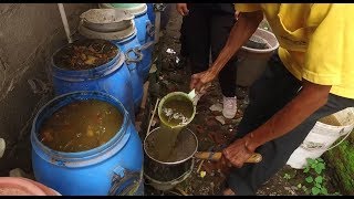 Lasiyo Sang ‘Profesor Pisang’ Kembangkan Pupuk & Pestisida Organik - NET YOGYA