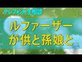 テレフォン人生相談 失業中の69歳シングルファーザーが供と孫娘と共に暮らし、義理の息子の家族の哲学に苦しむ壮絶な日々!