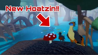 The New Hoatzin Is Great!! (Roblox Feather Family)