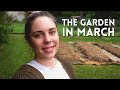 March Garden Tour 🌱🌿 Starting a Temperate Permaculture Garden Australia