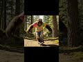 Hippie Bigfoot skates!!!🤣🤣🤣