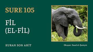 Kuran Son Ahit | Sure 105: Fil (El-Fil) — Suud el-Şureym