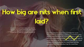 How quickly do nits multiply?  How big are nits when first laid?