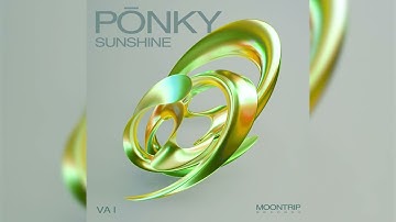 PŌNKY - SUNSHINE (original mix)