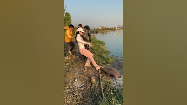 美女徒手抓上大龍躉！ #釣魚 #fishing #drama #funny #shorts