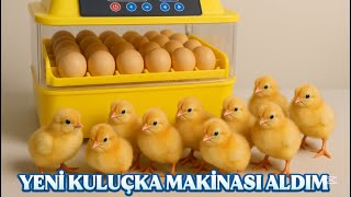 KMAI “56 LIK” KULUÇKA MAKİNASI TANITIMI -Yumurtaları yerleştirdik … KMAI “56 LIK” KULUÇKA MAKİNASI TANITIMI -Yumurtaları yerleştirdik …