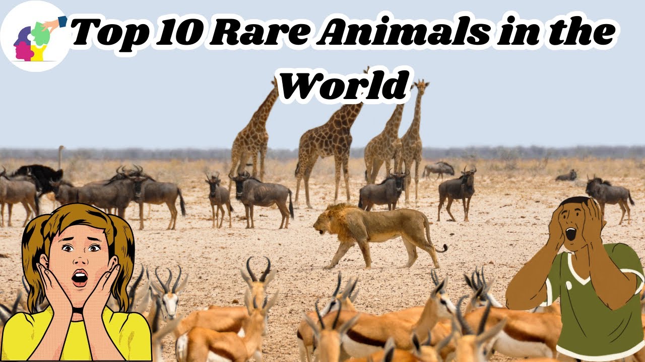 Top 10 Rare Animals in the World || @KnowGenix-zi2ww - YouTube