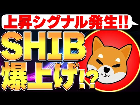 上昇シグナル発生🚀SHIBついに爆上げか！？🐕【柴犬】【シバイヌコイン】【ミームコイン】【仮想通貨バブル】【暗号資産】