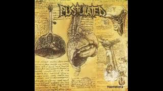 Pustulated - Haematoma (Full Album)