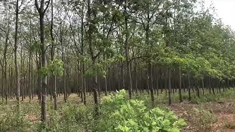 - Đất Sông Nhạn Cẩm Mỹ Đồng Nai, giá ngộp chưa qua đầu tư.